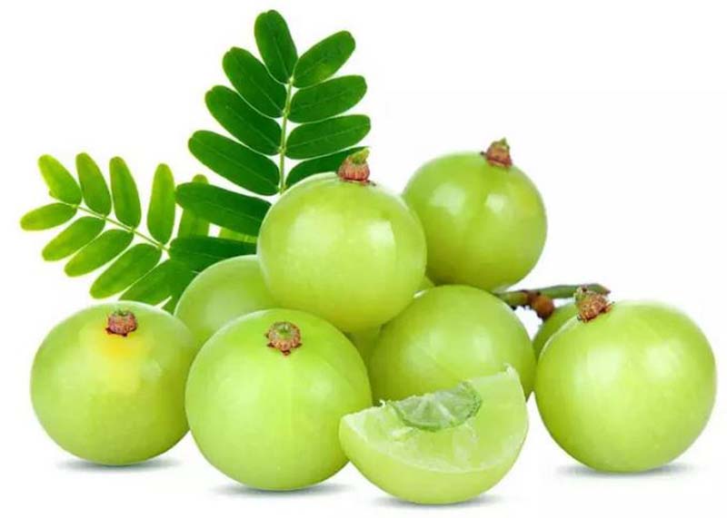 AMLA FRESH GREEN INDIA 100GM