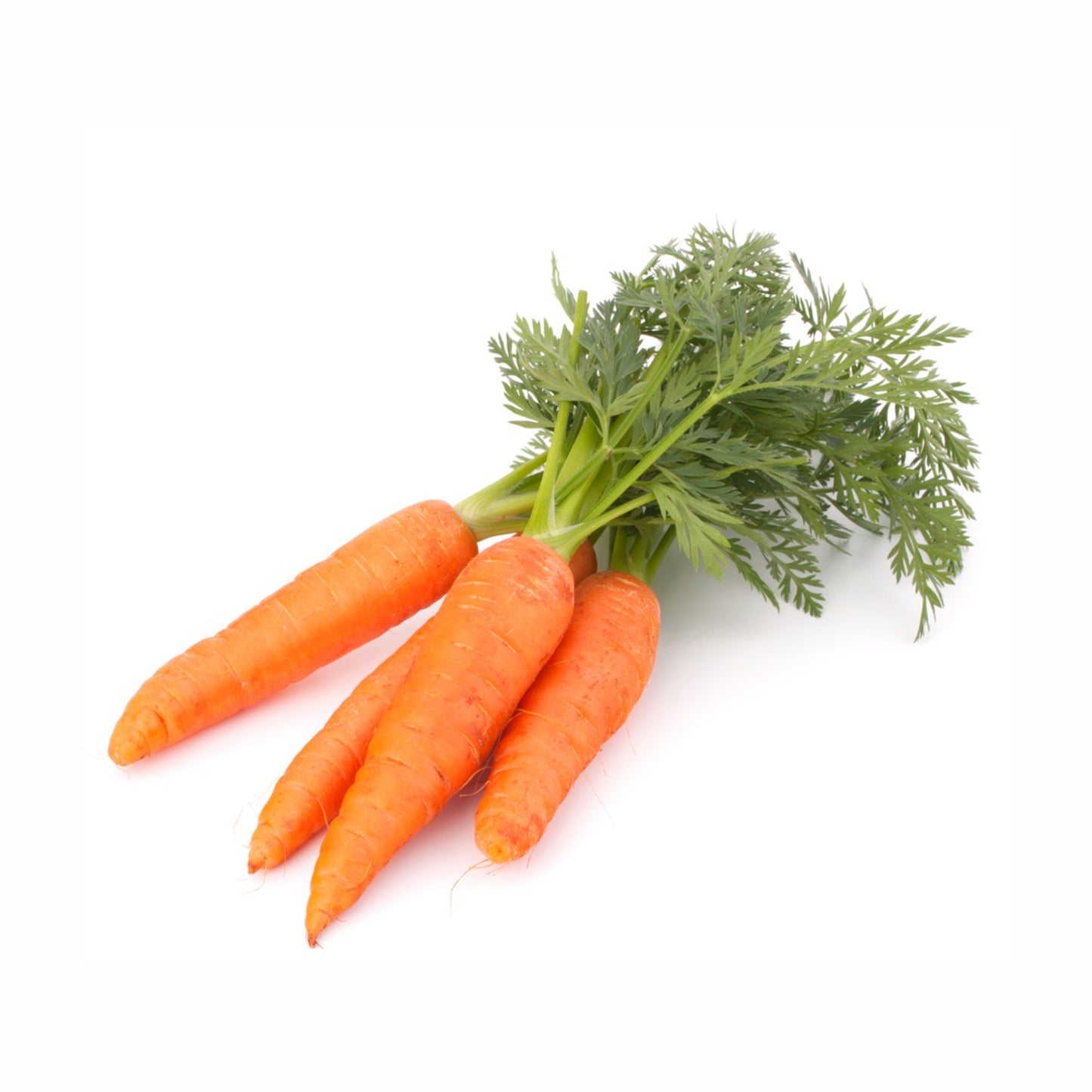 FRESH CARROT, GAJAR 500 GM
