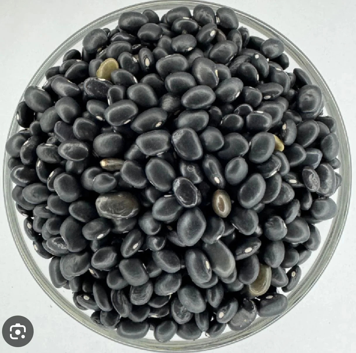 JUMLA BLACK BEANS JUMLA KALO SIMMI 1KG
