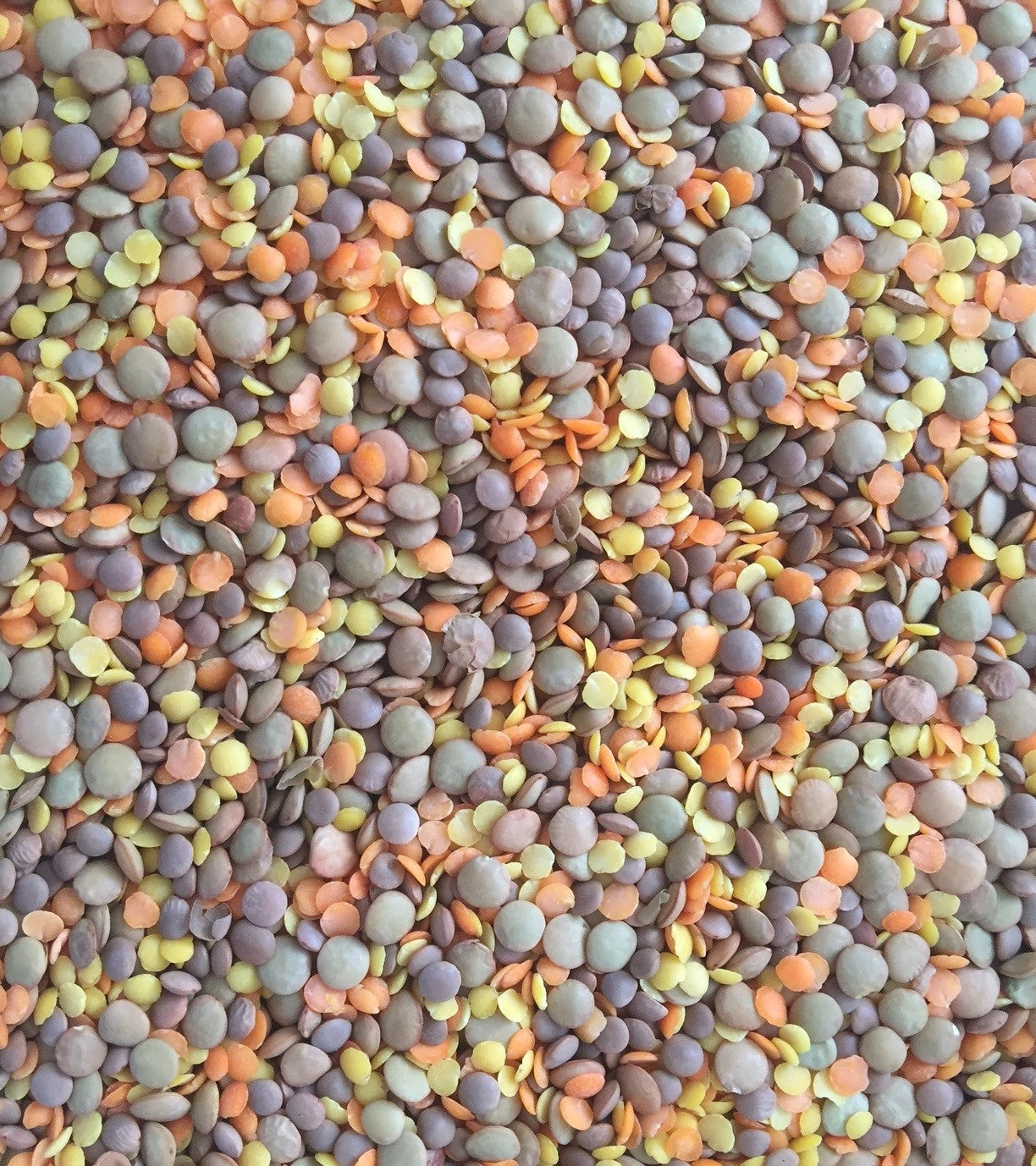 MIX DAL, MIXED LENTILS 1KG
