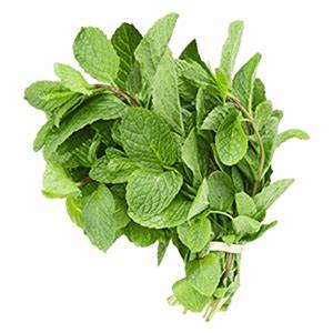 FRESH MINT 100 GM