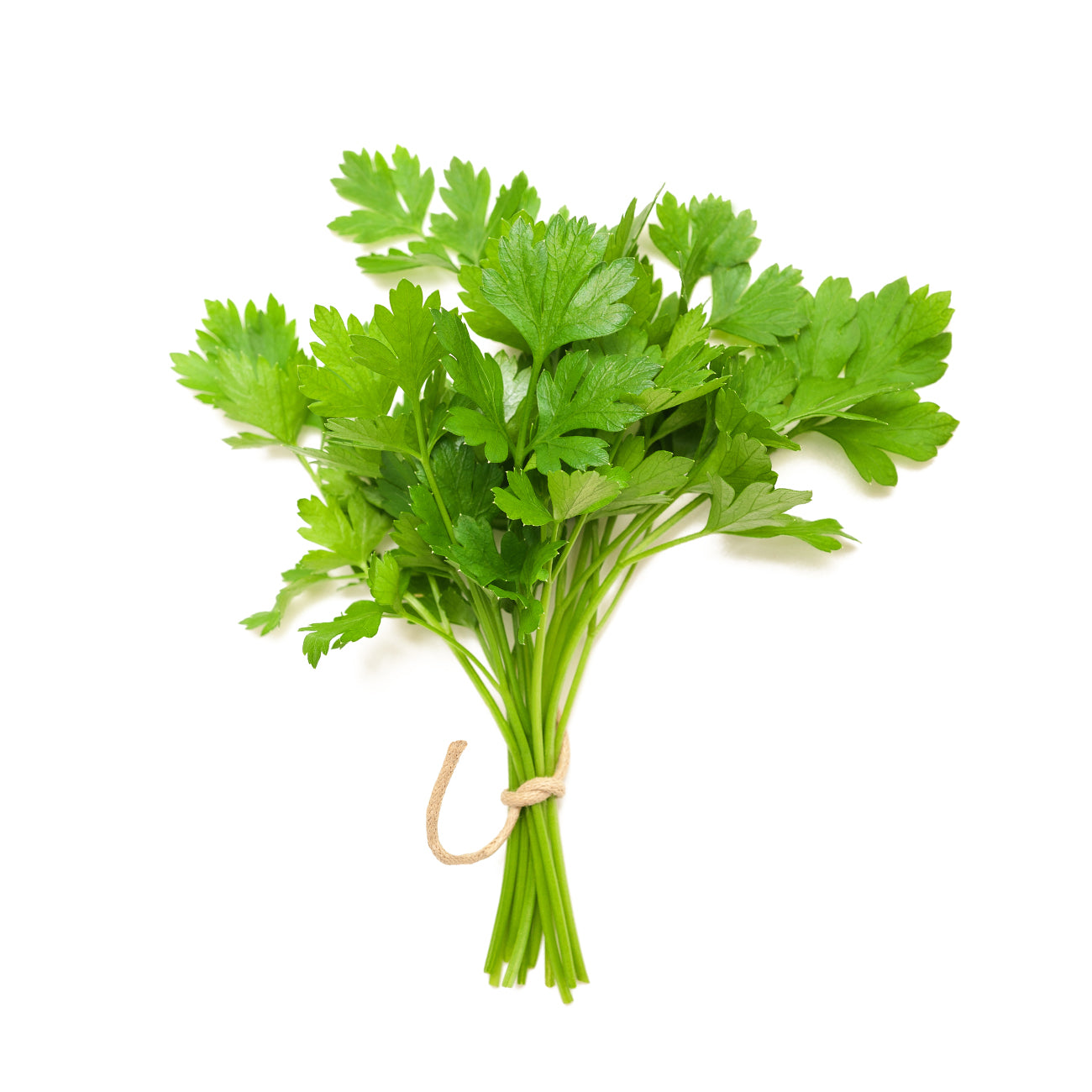 DHANIA FRESH, FRESH CORIANDER 100G GRAM