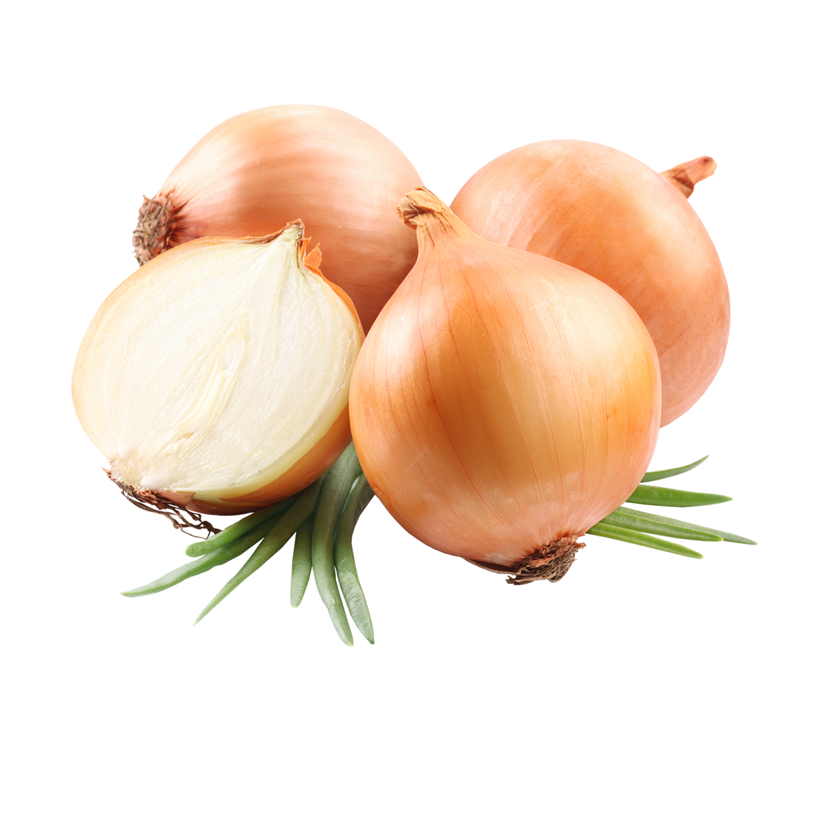 YELLOW ONION 1 KG