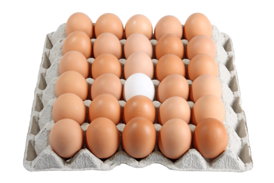 Fresh farm Eggs 30pcs