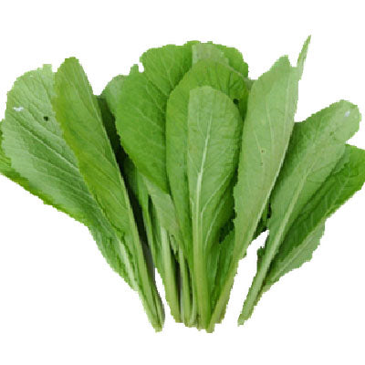 RAYO KO SAAG 1 BUNCH